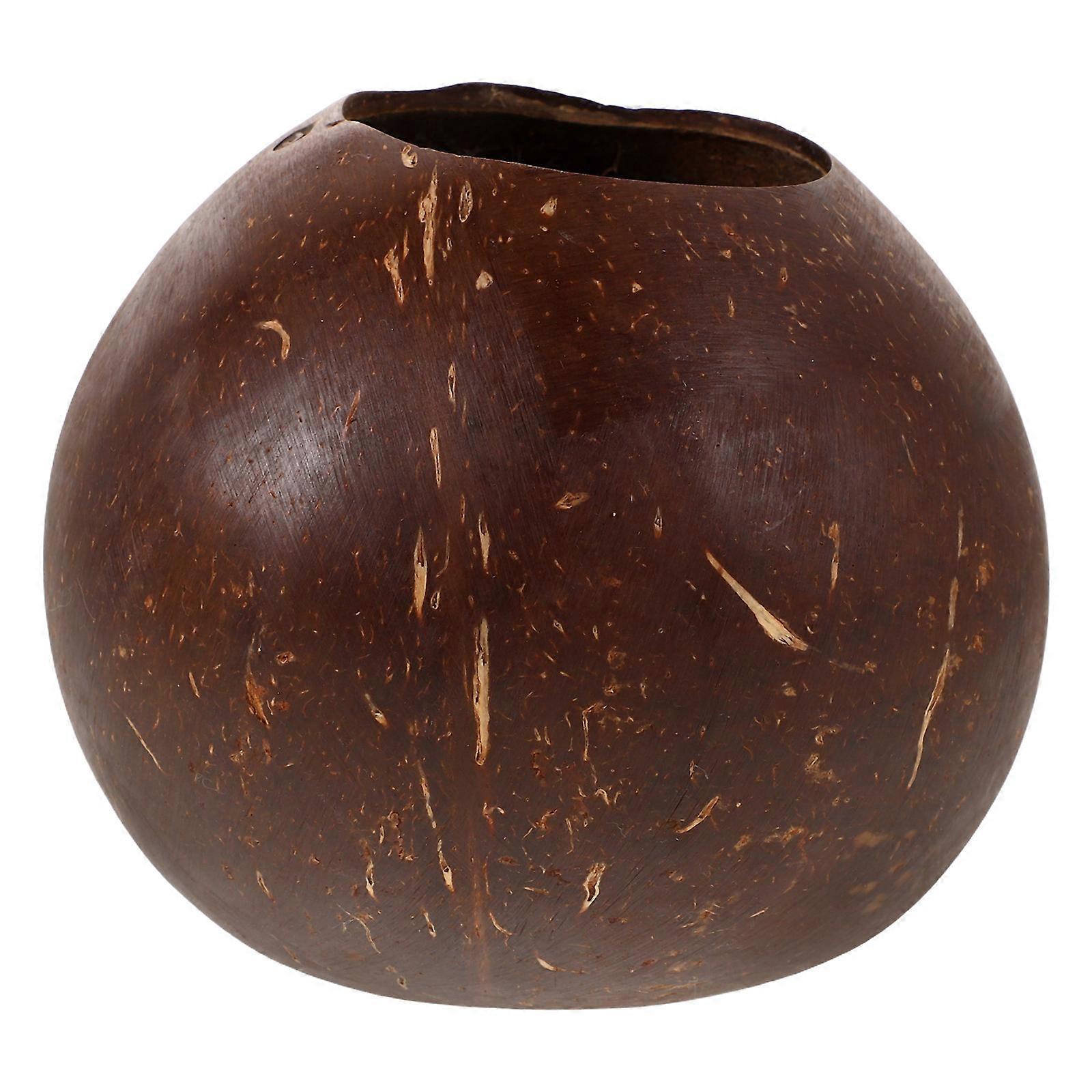 Decorative Succulent Planter, Functional Coconut Shell Design Adding Charm to Your Garden