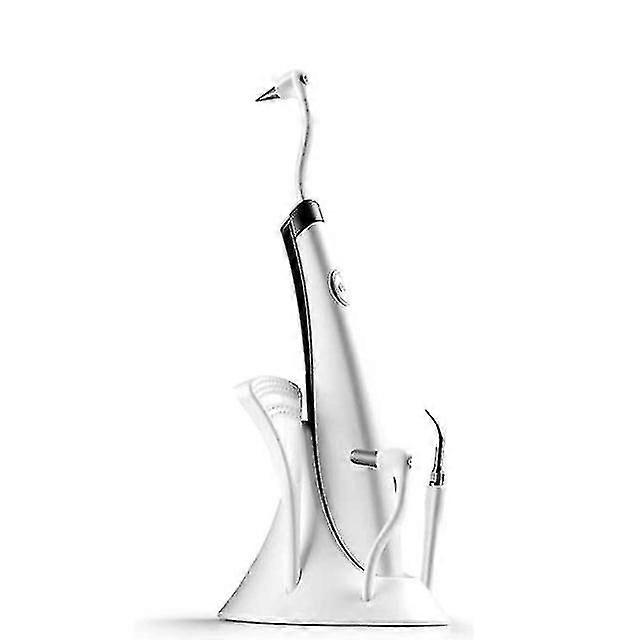 5 In 1 high frequency ultrasonic dental scaler vibration sonic tooth cleaner remove stains tartar scraper teeth whitening polish SXQ