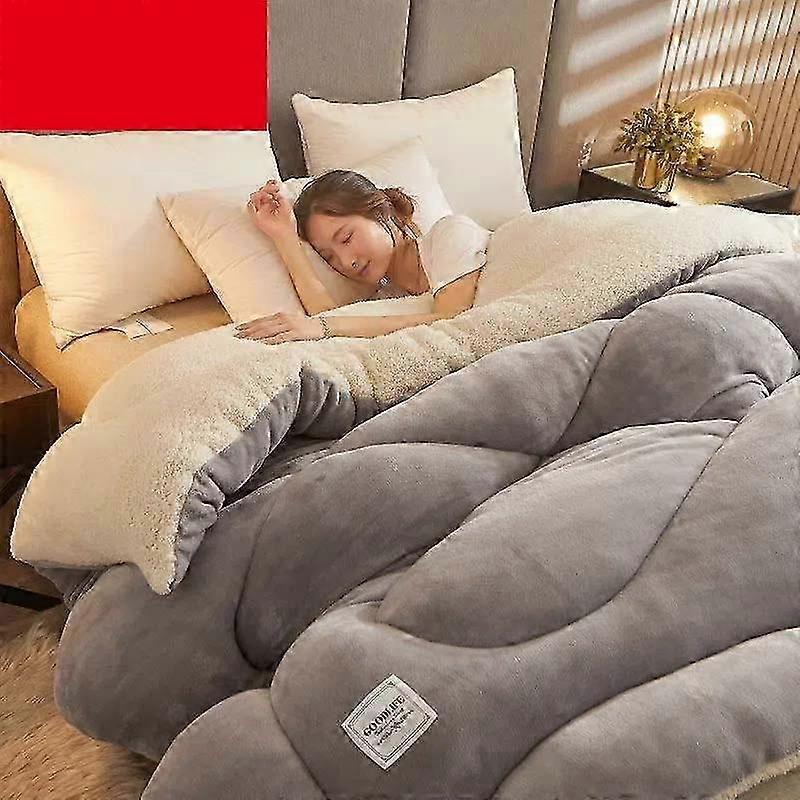 Coral Velvet Quilt with Cotton Wadding Soft Reversible Velvet Thicken Keep Warm Pile Quilt Core Mattress Silk Floss Breathable Autumn and Winter 25-26