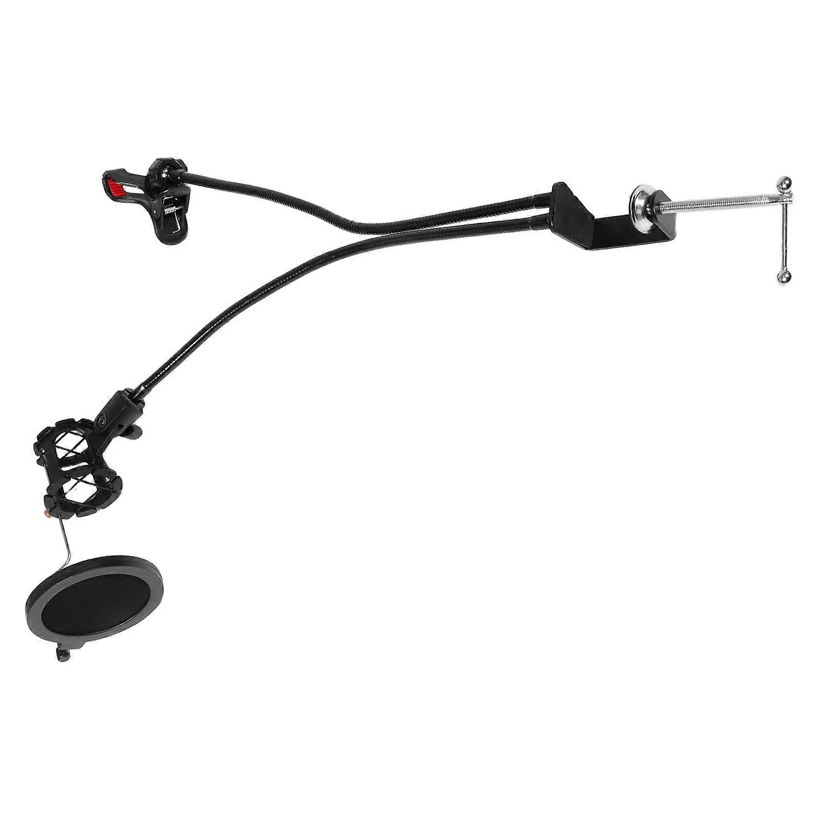 Mobile Phone Live Broadcast Stand with Microphone Holder for Recording