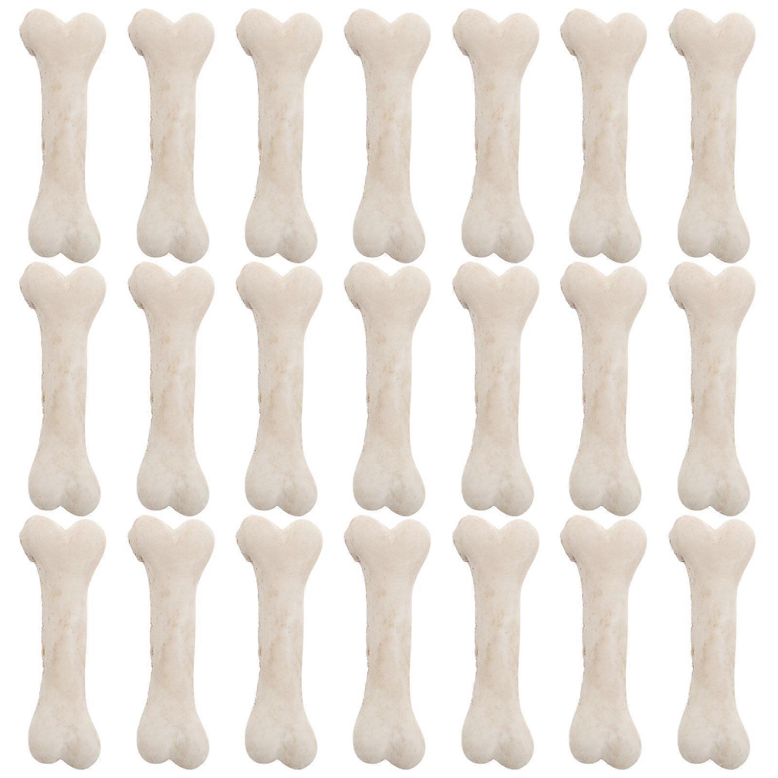 Mini Bones Resin Mini Skeletons for Crafts 20Pcs Realistic Dog Bones