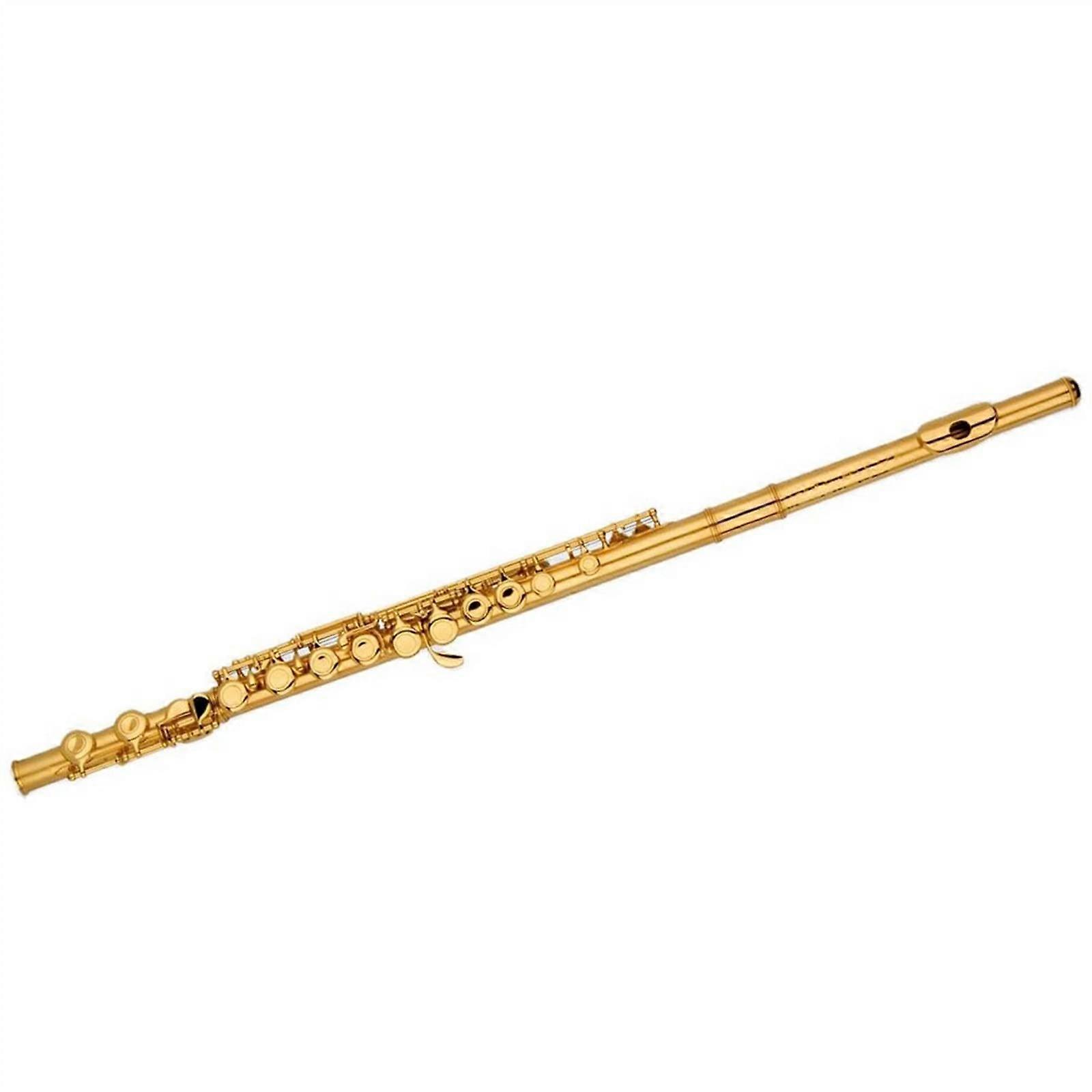 Gold Plated Closed Hole Flute with Split E Key and Offset G Design, 16 Keys for Students