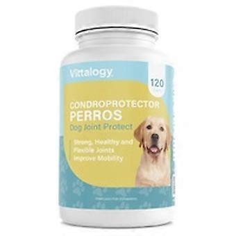 Chondroprotector for dogs 120 capsules of 722mg