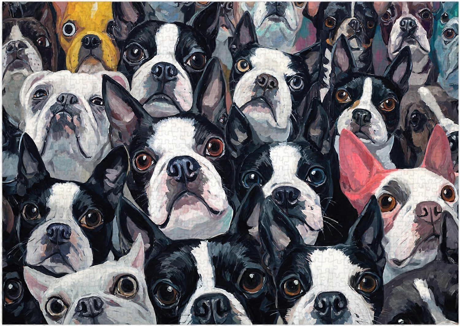 Quebra-cabeça Boston Terriers SQZ511
