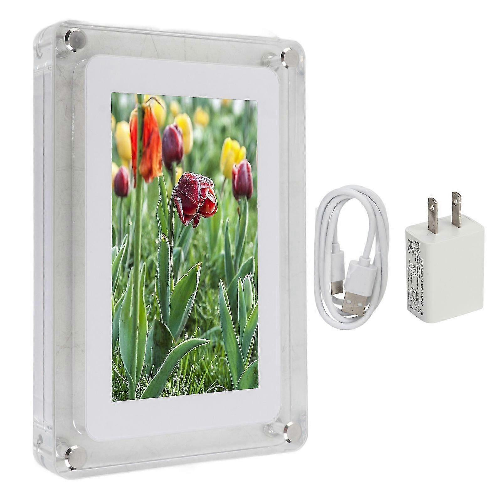 Picture Frames-FruDouban4481-9177159693498