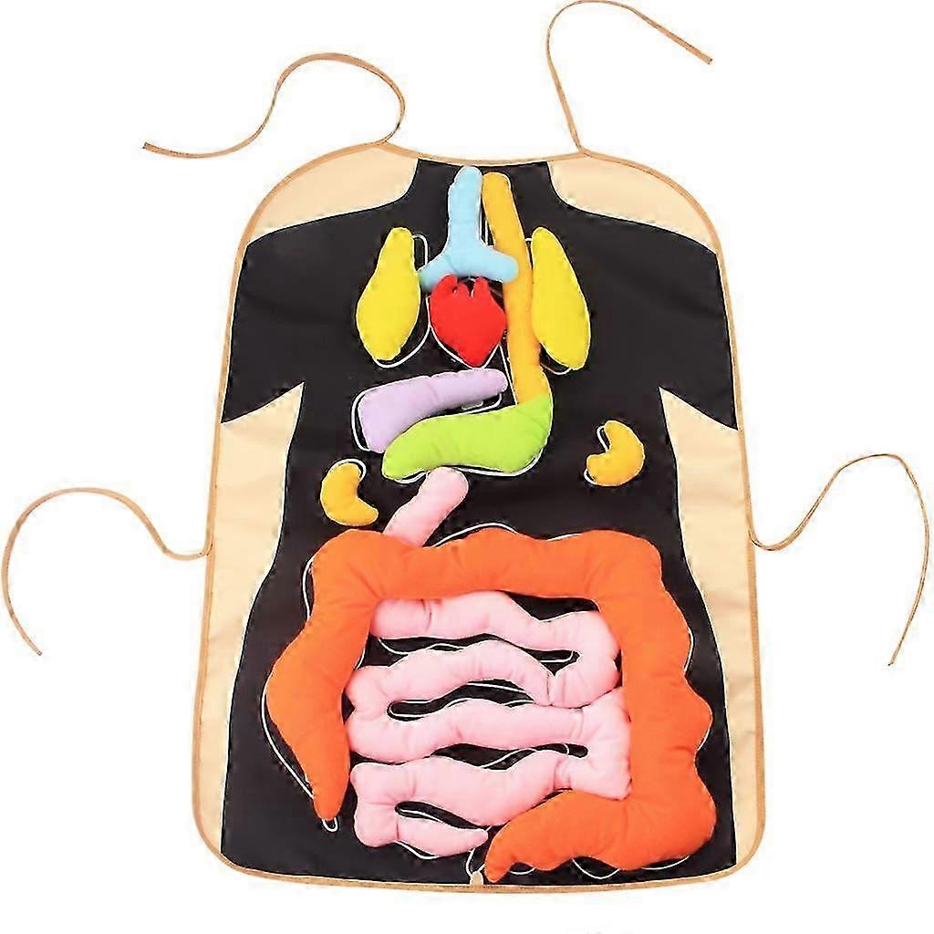 Body Organs Awareness Apron