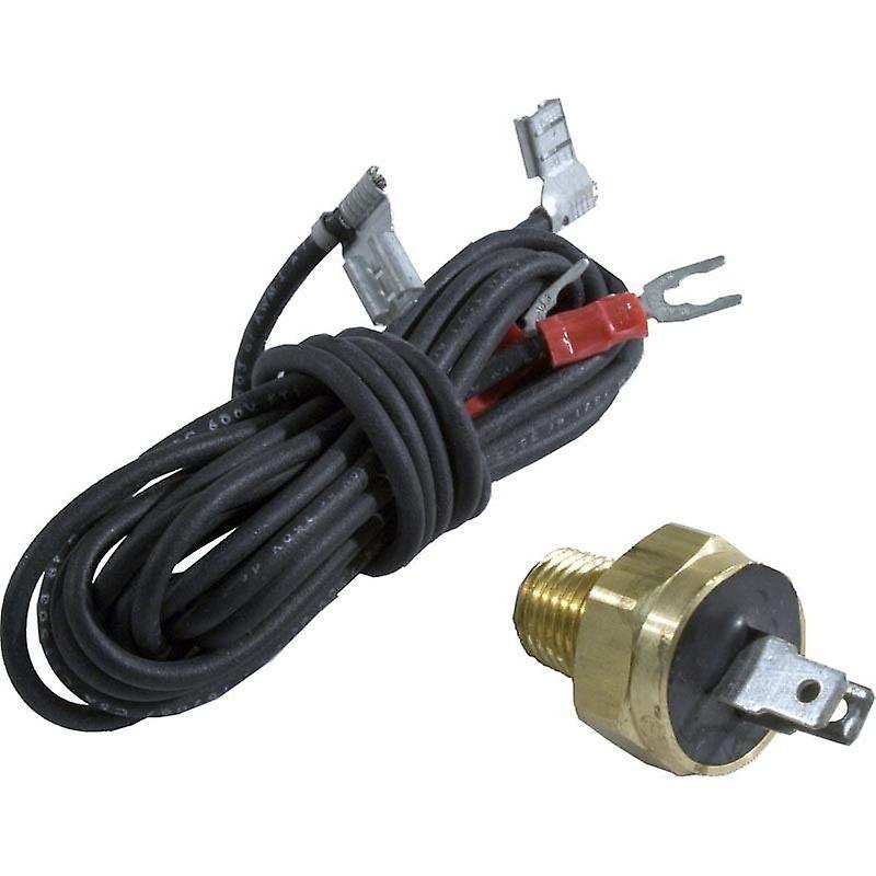 Raypak 600893B réinitialisation automatique limiteur