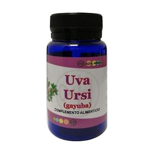 Uva ursi bearberry 60 capsules