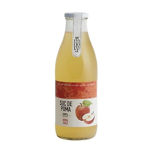 Gala apple juice 1 L (Apple)