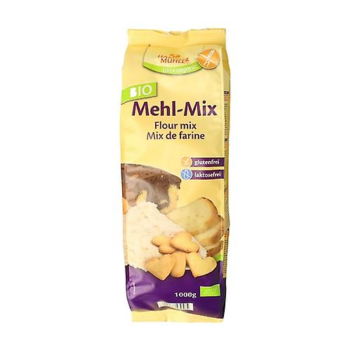 Gluten Free Flour Mix 500 g