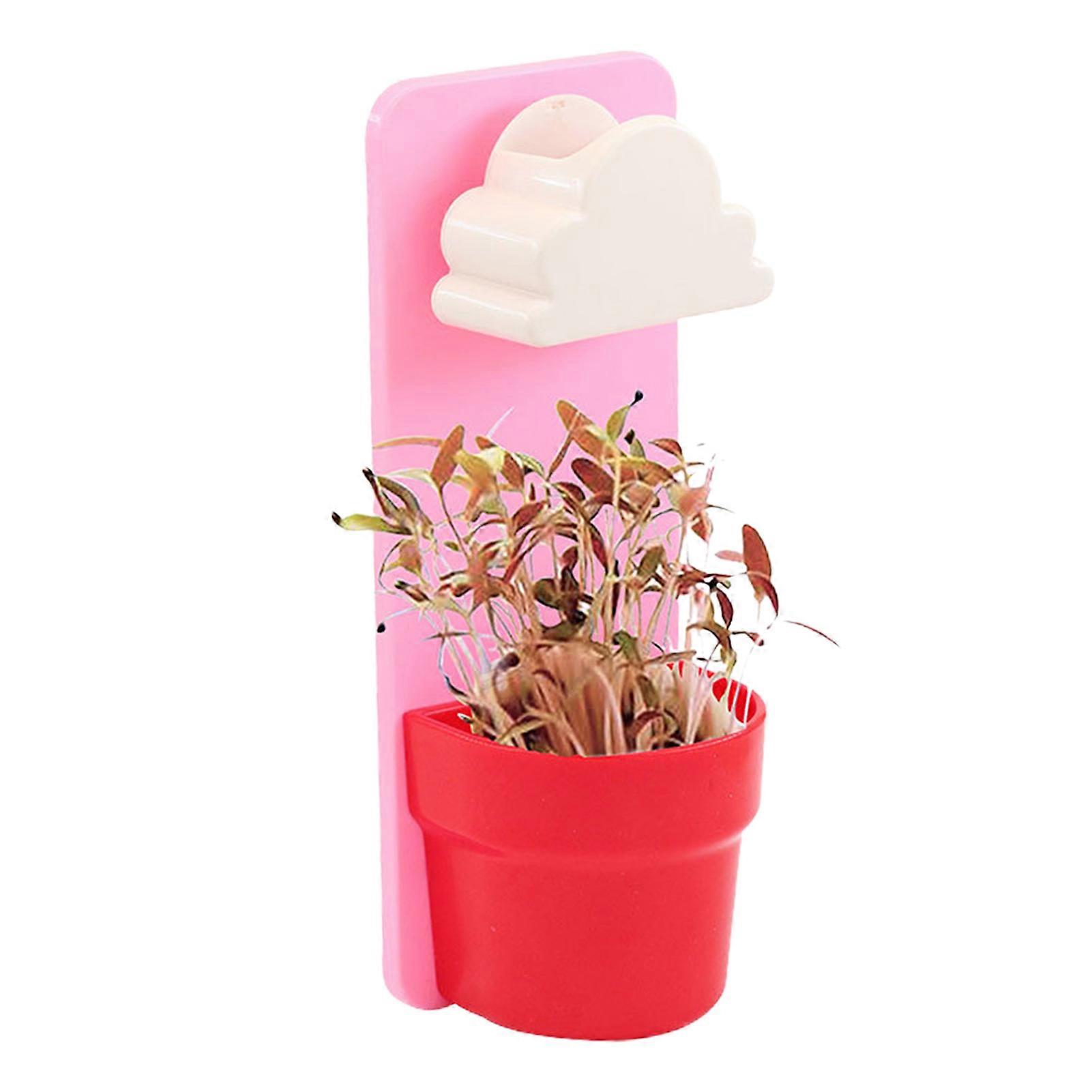 Rainy Flower Pot Wall Hanging Mounted Planters with Clouds Shower Watering
