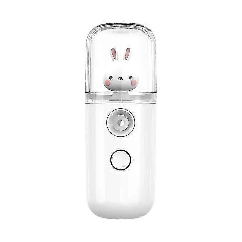 Small USB Facial Nebulizer 30ML Hydrating and Moisturizing Tool with Nano Spray for Skin Care