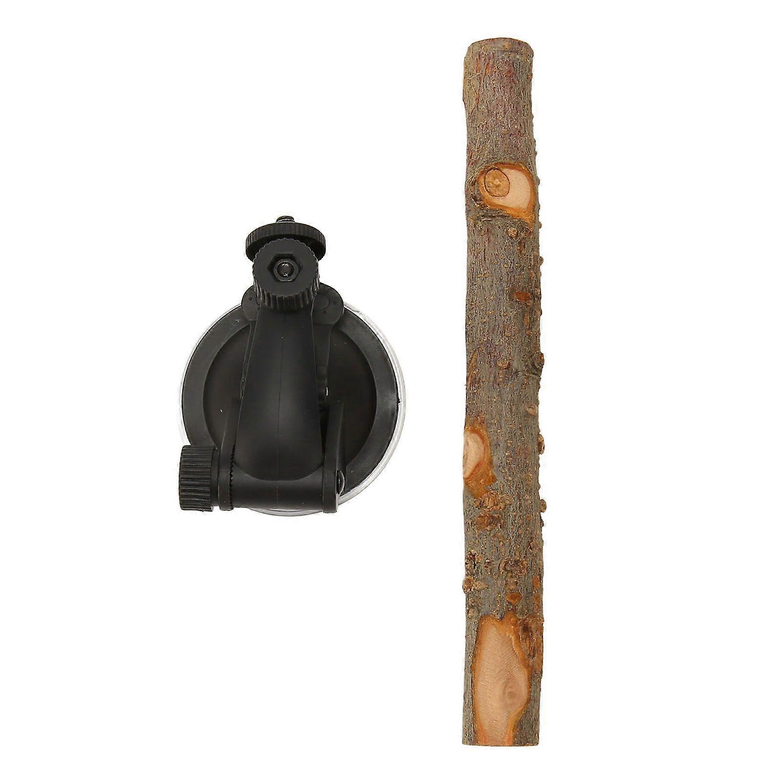 Wood Parrot Perch Prevent Slip Interactive Bird Window Perch Stand with Suction Cups for Small Medium Bird 15cm / 5.9in