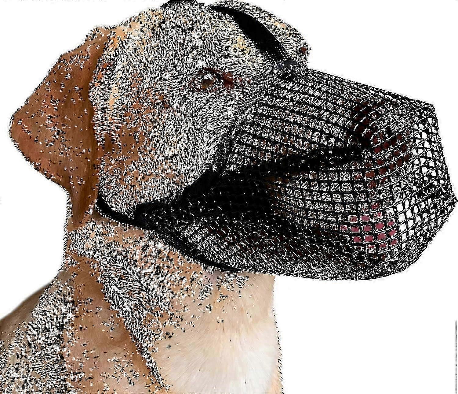 training muzzle for dogs with adjustable safety straps