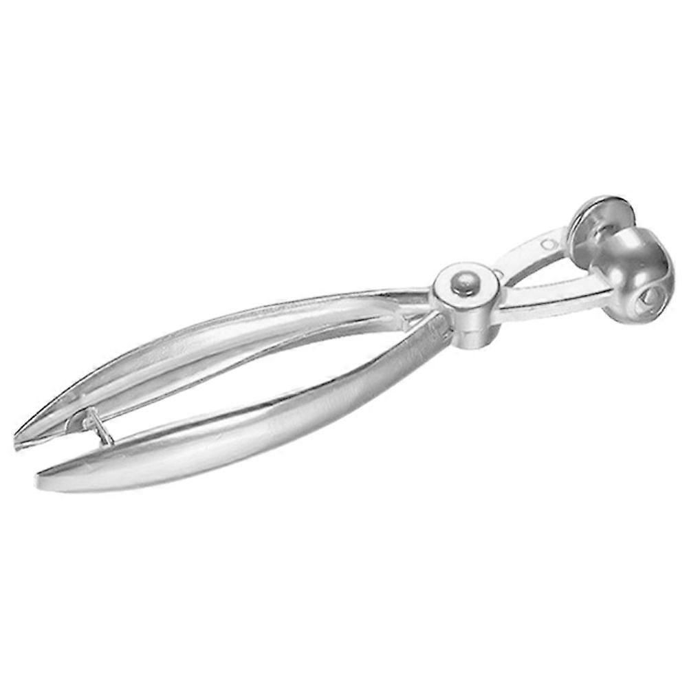 Metal Cherry Pitter Tool for Quick Fruit Pit Removal Kitchen Gadget