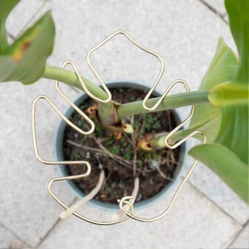 Moss Pole Adjustable Plant Support Stakes for Monstera, Bendable Reusable Bracket for Climbing Plants