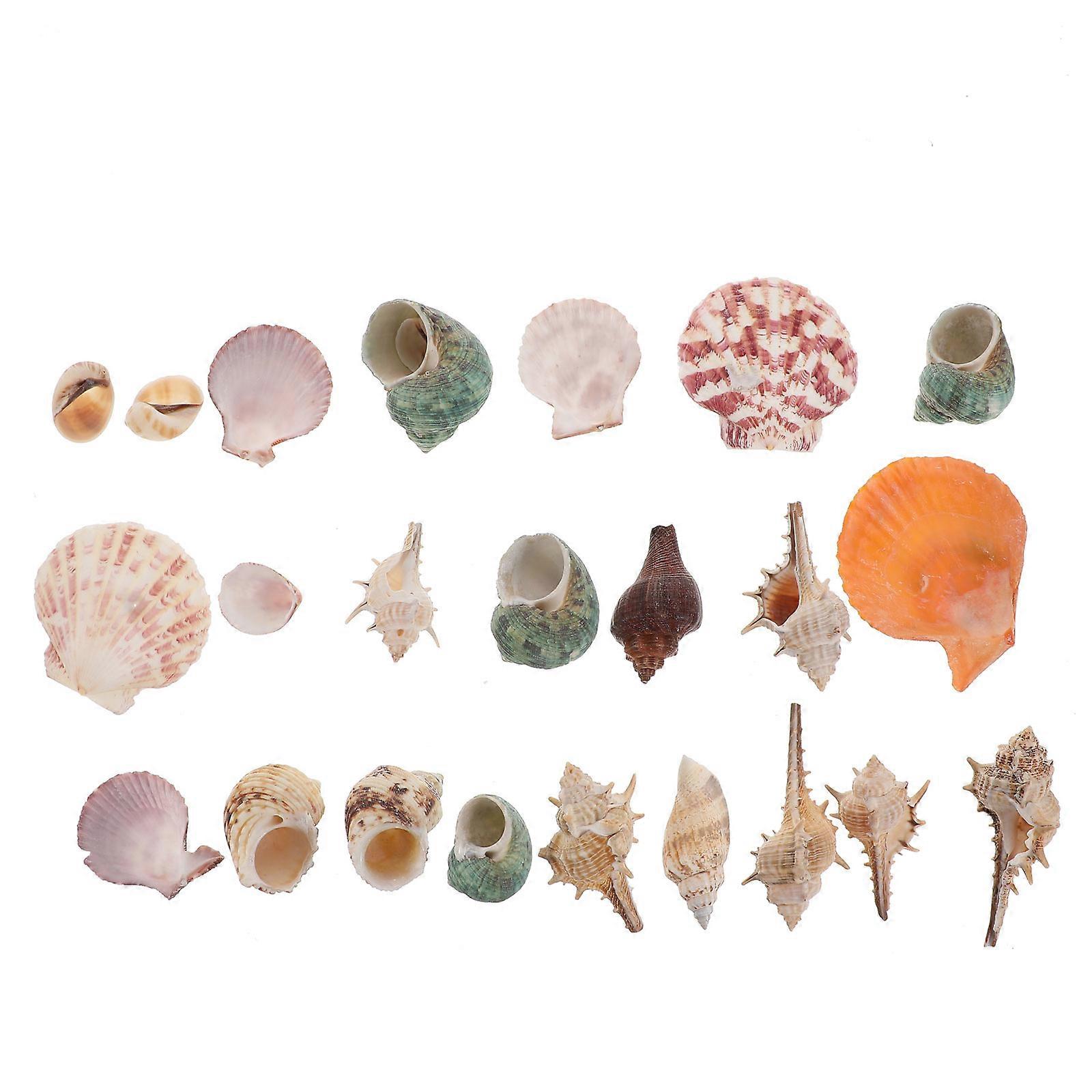 Aquarium Decoration Lifelike Shells for Decoration 1Pack