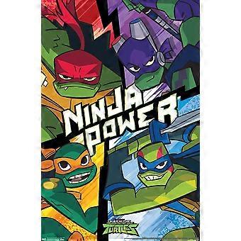 Rise of The Teenage Mutant Ninja Turtles Turtles Jigsaw Puzzles DDA1315