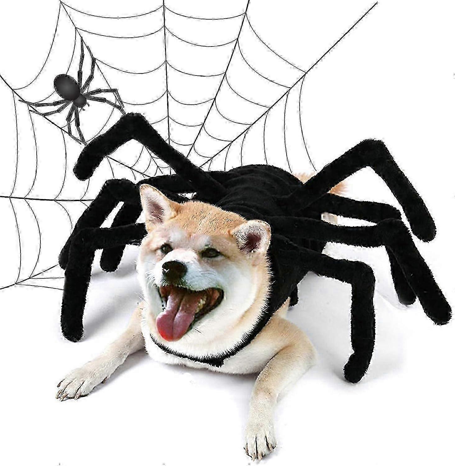 Poseable Spider Costume for Dogs