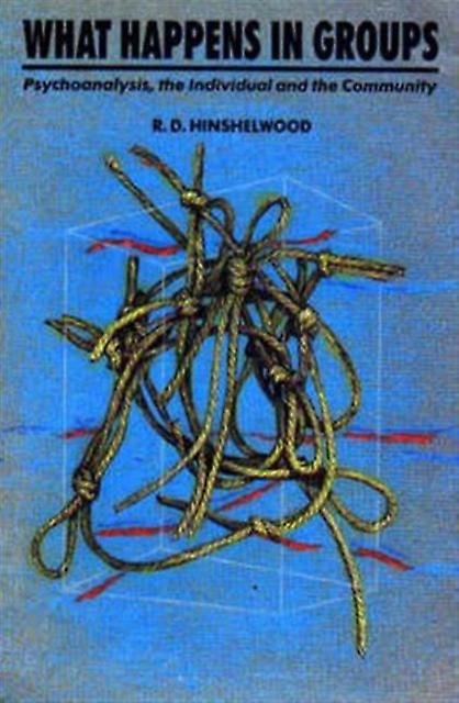 What Happens In Groups by R. D. Hinshelwood Paperback