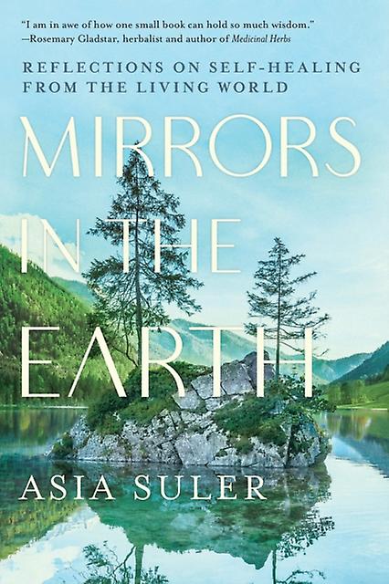 Mirrors In The Earth by Asia Suler Paperback
