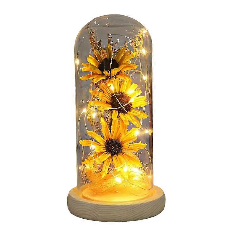Nnetm Radiant Christmas Joy:玻璃 LED 照明人造向日葵 Dom Awo20263