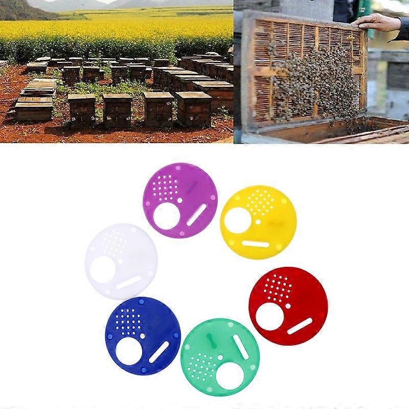 Bikupa Dörr Biodling Biodlare Box Plast Entré Skiva Bee Nest Gate