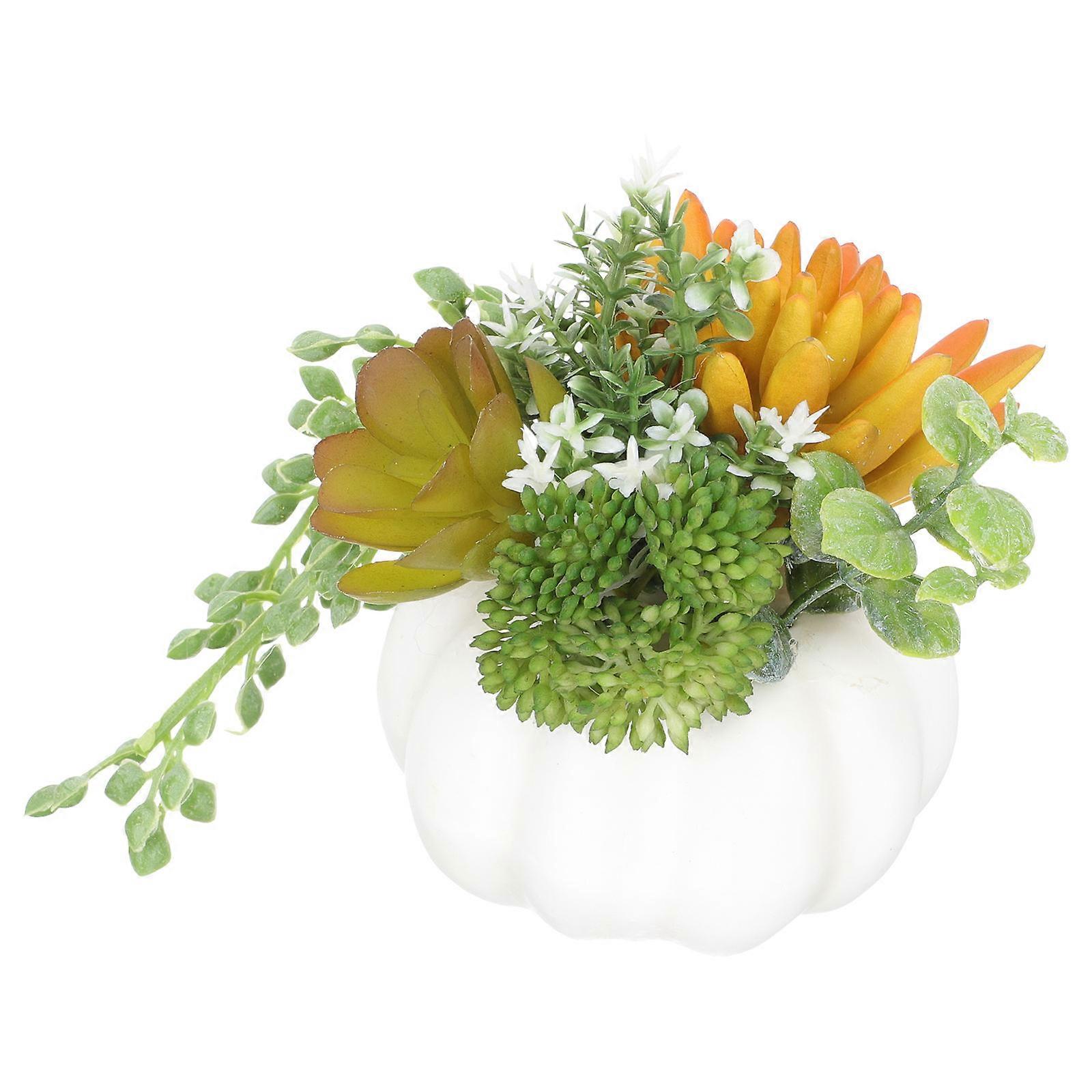 Compact Pumpkin Shape Bonsai For Office Decoration Perfect For Houseowners 1Pack