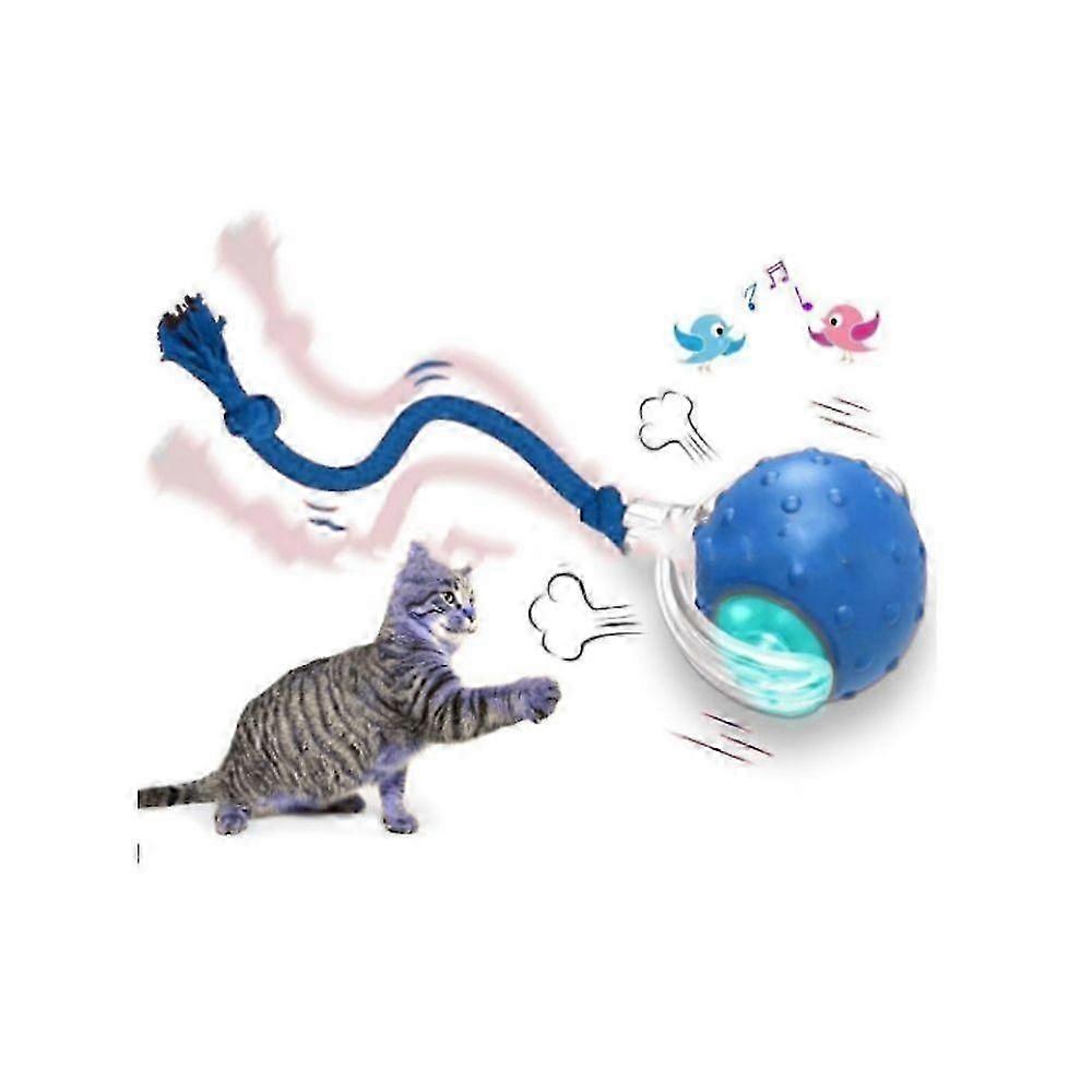 小取狗玩具,Tinyfetch 互动狗猫玩具球,快速移动球