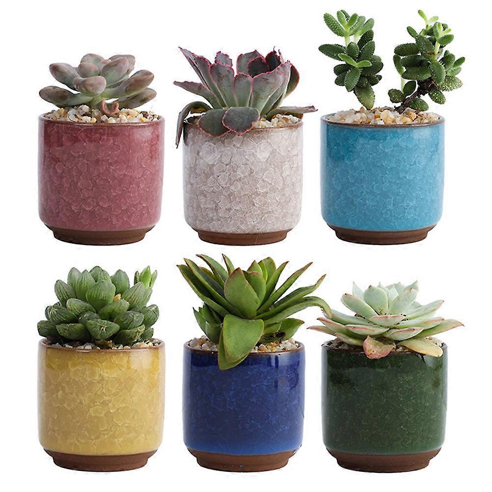 Cute Planter Pot Green Plant Lovers 6Pcs
