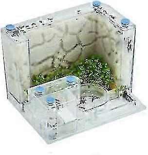 プロのアリ農場の生息地 - 透明な21x11x11cmテラリウム