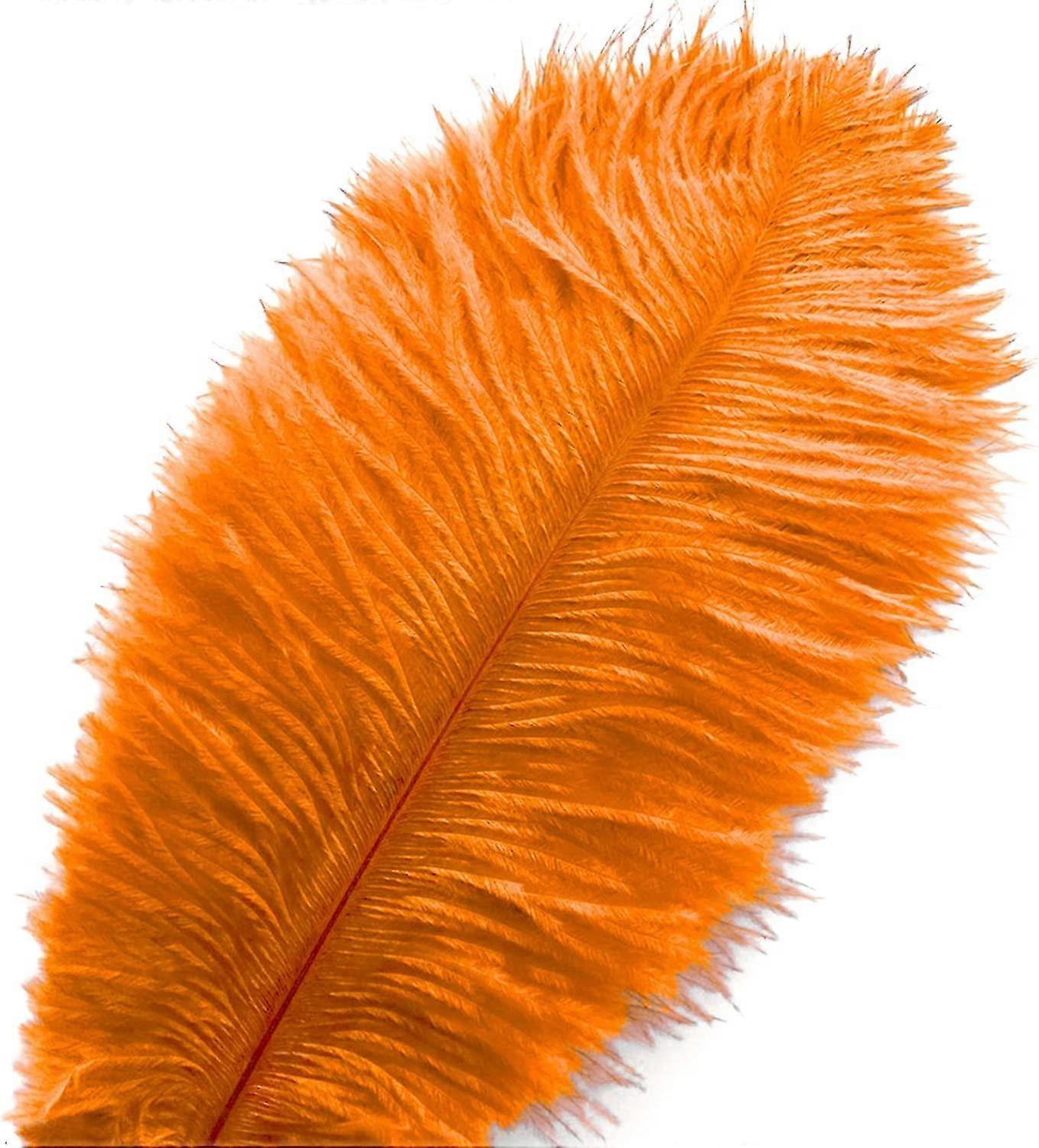 50pcs Ostrich Feathers For Decorations 26s
