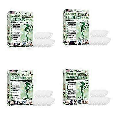 Moringa Berberine x NAD+10-in-1 Advanced Nano Microneedle Patch

