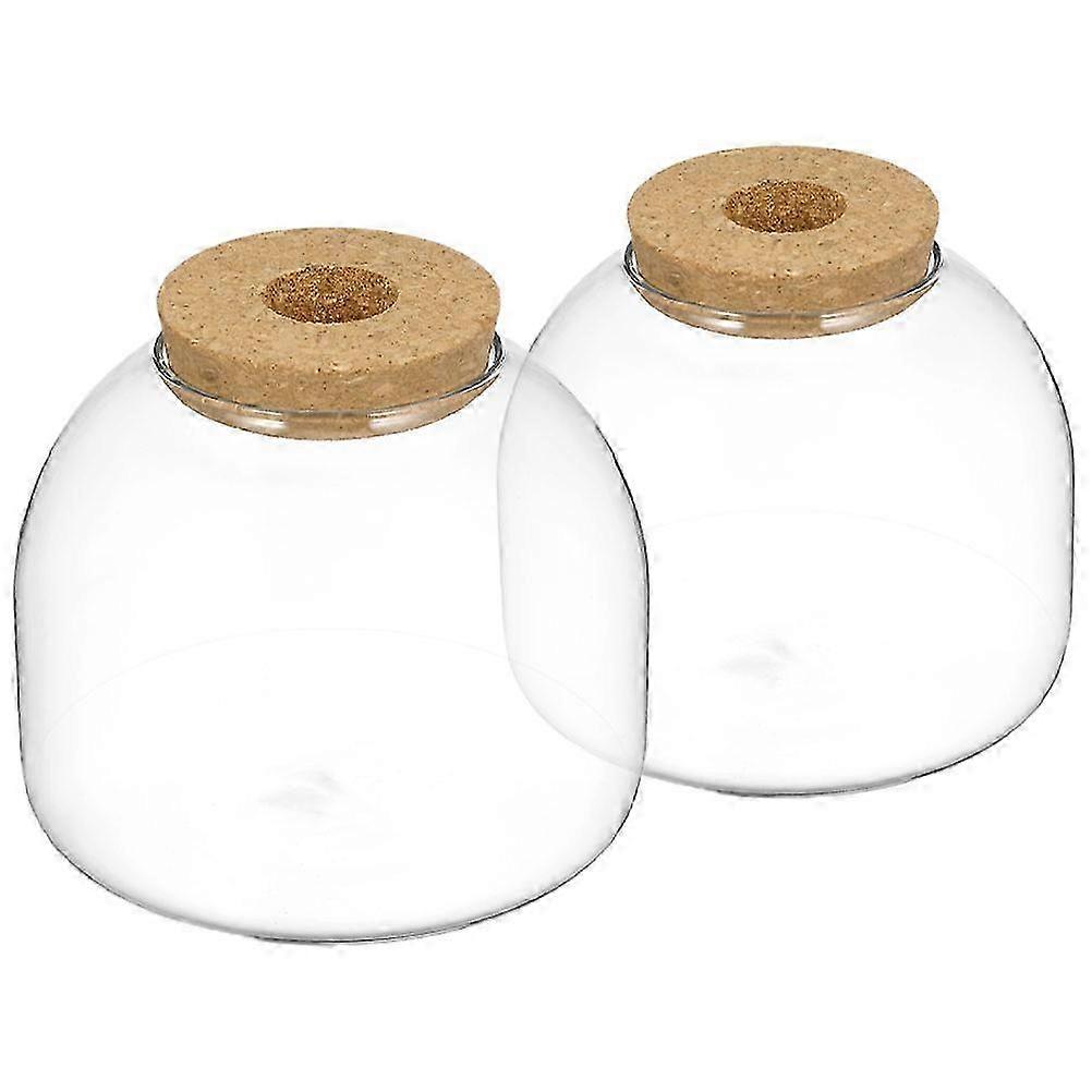 Landscape Bottle Micro Landscape Container Plant Enthusiasts Air Purification 2Set