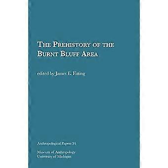 The Prehistory of the Burnt Bluff Area