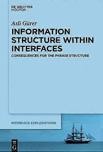 Information Structure Within Interfaces - Asli Grer - Paperback - en Book