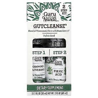 GuruNanda, GutCleanse™ 2 Step Kit , 2 Bottles, 1 fl oz (30 ml) Each