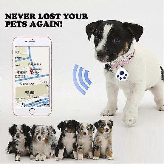 GPS-tracker kat - GPS-tracker kæledyr - GPS-tracker hund