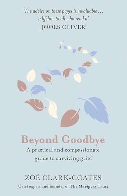 Beyond Goodbye by Zoe ClarkCoates Paperback