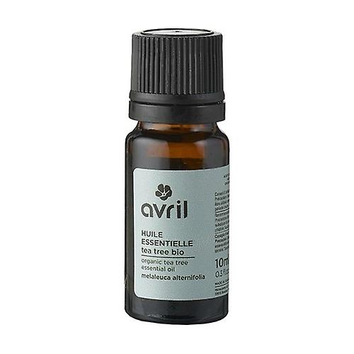 Organic Tea tree essential oil 10 ml of essential oil