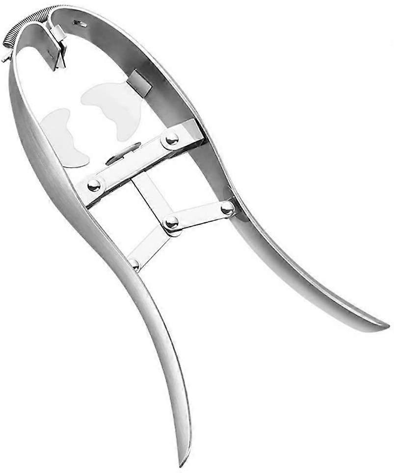 Stainless Steel Egg Opener Egg Shell Cutting Tool Suitable for Kitchen Baking Cooking