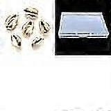 1box Shell Beads Cowrie Shells Golden