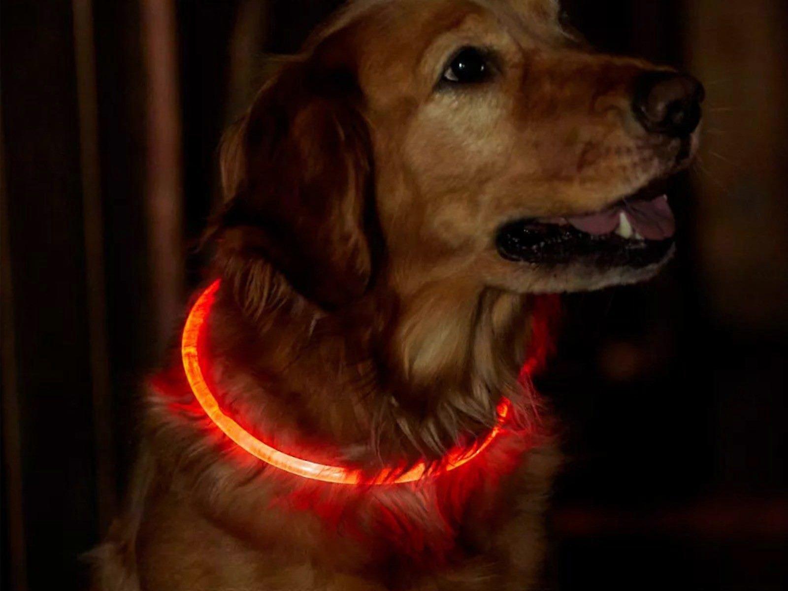 70cm Light-Up Pet Dog Collars USB Rechargeable Adjustable Pet Collar Red Light