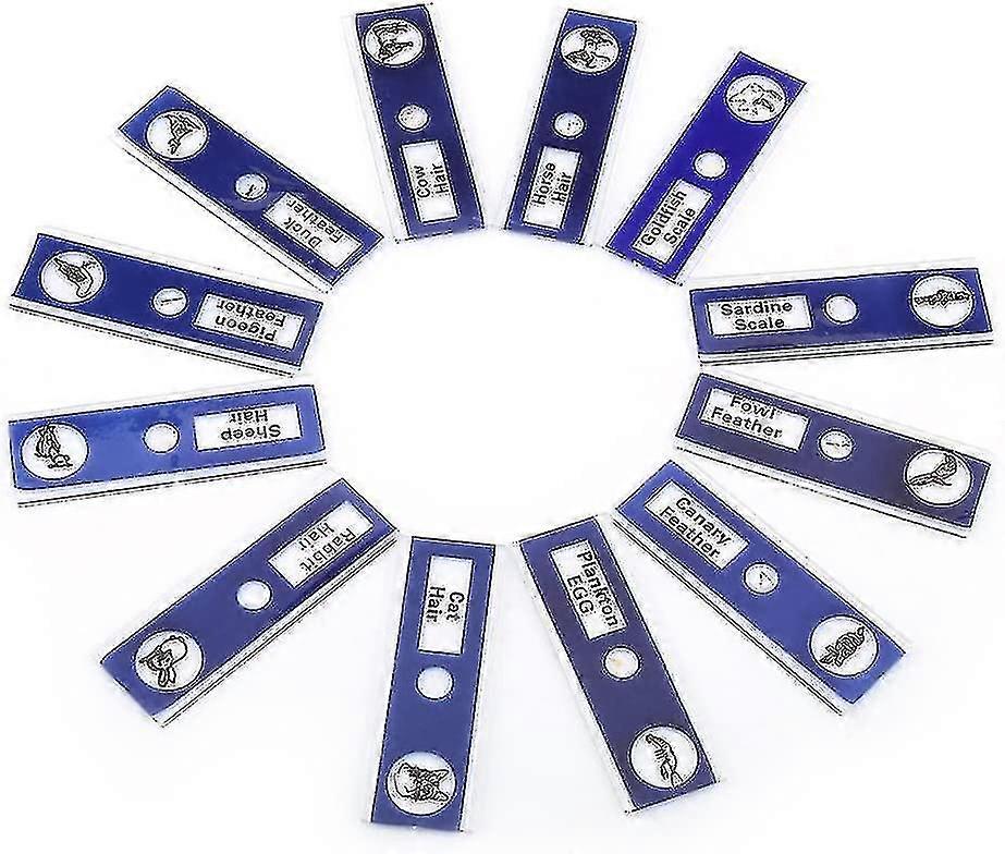 Magic Lantern Slides, Professional Type Colored Labels, Plastic Prepared Microscope Slides For School To Learn(blue)