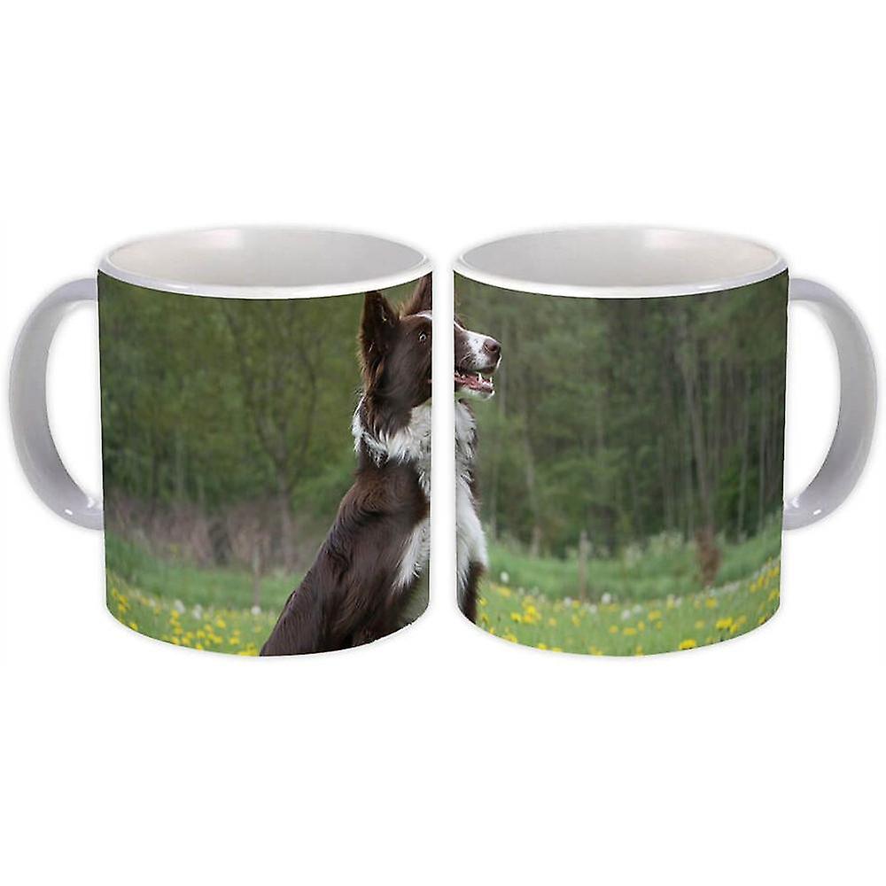 Gift Mug: Collie Dog