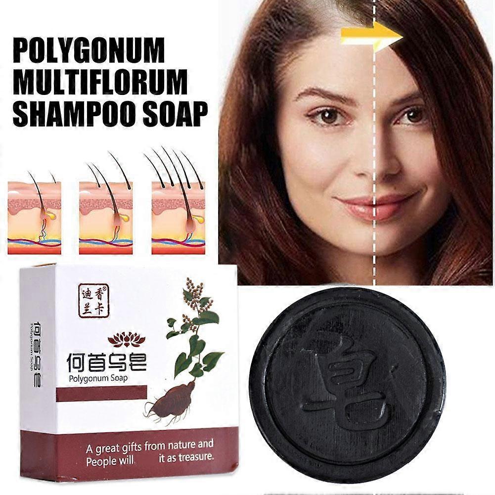 Sabonete Capilar Polygonum Multiflorum Shampoo Cuidados com os Cabelos