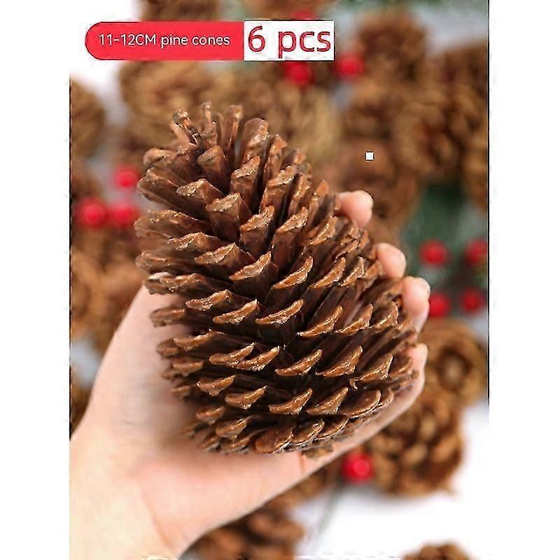 11-12 سم 6 قطع مخاريط الصنوبر الطبيعية ، الصنوبر الكبير ، الحلي الصنوبر الطبيعية الصنوبر الكبيرة لديكور الخريف والشتاء جيد