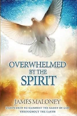 Overweldigd door de Geest