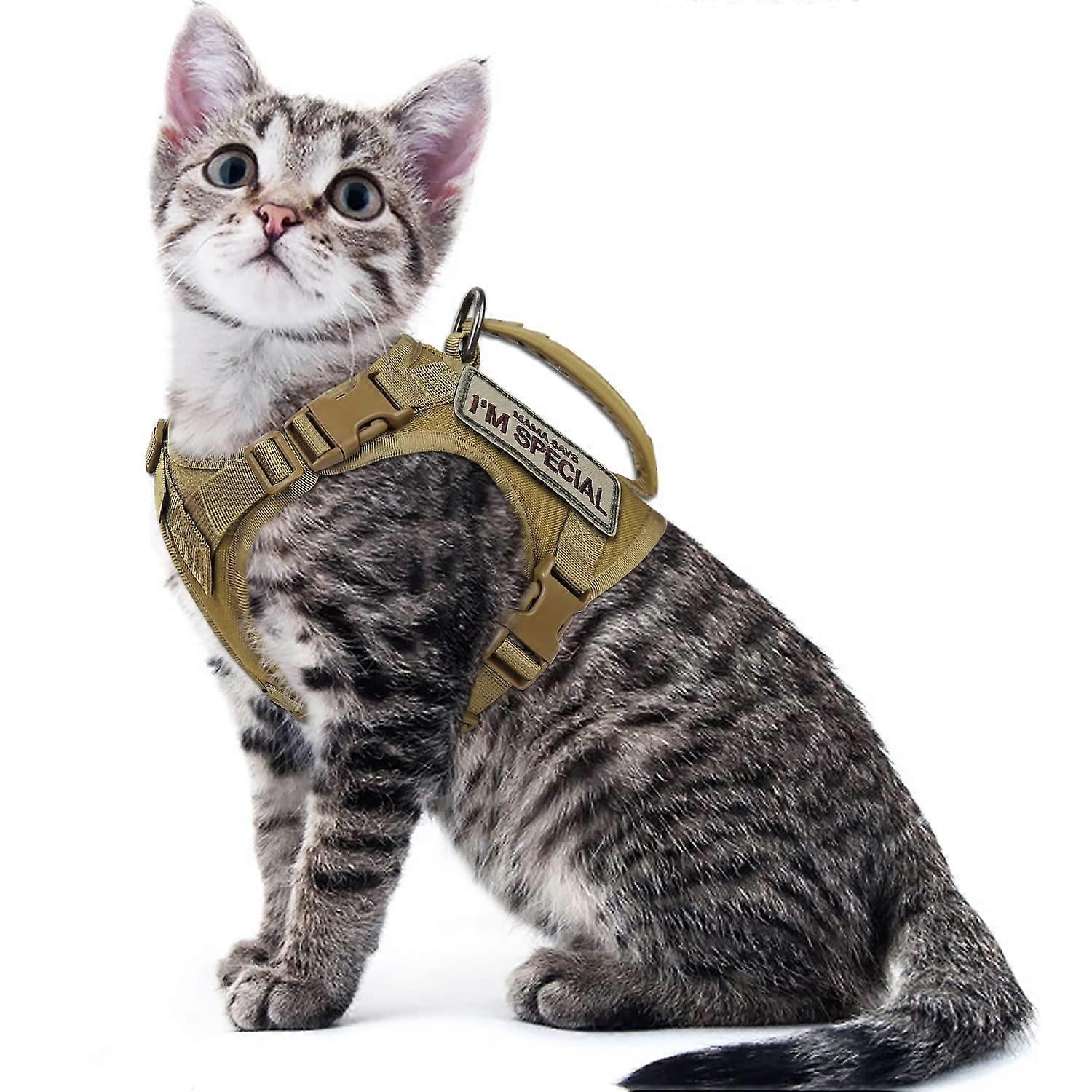 Tactical Cat Harness for Walking,Soft Mesh Adjustable Escape Proof Pet Vest for Large Cat,Puppy