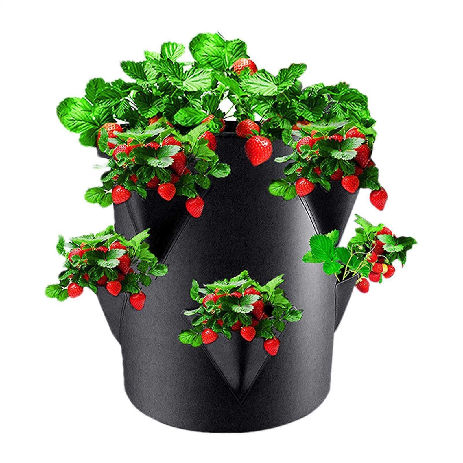 Strawberry Pots and Planters 6 Side Pockets to Adapts Flat Root and Hanging Growth